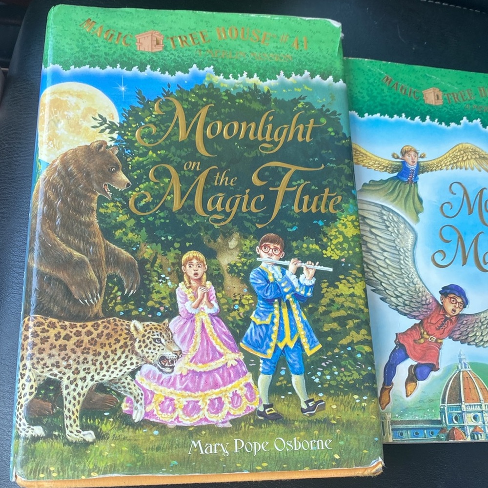 Magic Tree House Books Set - Picture 2 of 4